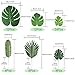 Auihiay 60 Pieces 6 Kinds Jungle Leaves with Stem Faux Monstera Leaves Tropical Leaves Decor Simulation Safari Leaf for Hawaiian Luau Party Jungle Beach Theme Party Table Leave Decorations