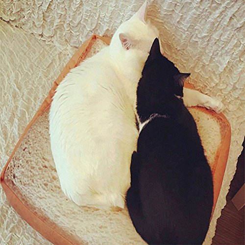 Dofover Soft Cat Cushion Bed Bread Pet Mattress Bed Toast Mats Bedding Pad For Small Medium Dogs & Cats,Sleeping Resting Playing Reading Pillow (15.7''X15.7''X2.6'') #TOP2