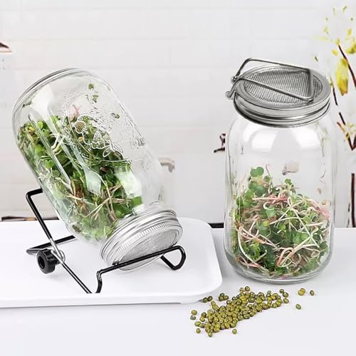 2 Pack Sprouting Lids - image 4