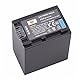 DSTE NP-FV100 (5700mAh/7.4V) Li-Ion Akku Kompatibel mit Sony DCR-SR15 DCR-SR68 DCR-SR88 DCR-SX65 DCR-SX85 HDR-CX105 HDR-CX110 HDR-CX115