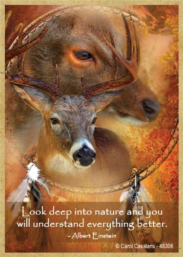 SJT ENTERPRISES, INC. Deer Look deep into Nature and You Will Understand Everything Better - Albert Einstein Dream Catcher Wood Magnet Featuring The Artwork of Carol Cavalaris - 2.5" x 3.5" (48306)