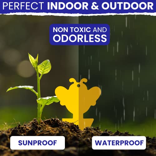 Fungus Gnat Sticky Traps For Plants 16Pk With Ties. Gnat Traps For House Indoor Plants Yellow Sticky Traps For Gnats. Fruit Fly Traps Fungus Gnat Killer Indoor Trap Plant Sticky Traps For Bugs Catcher #TOP4