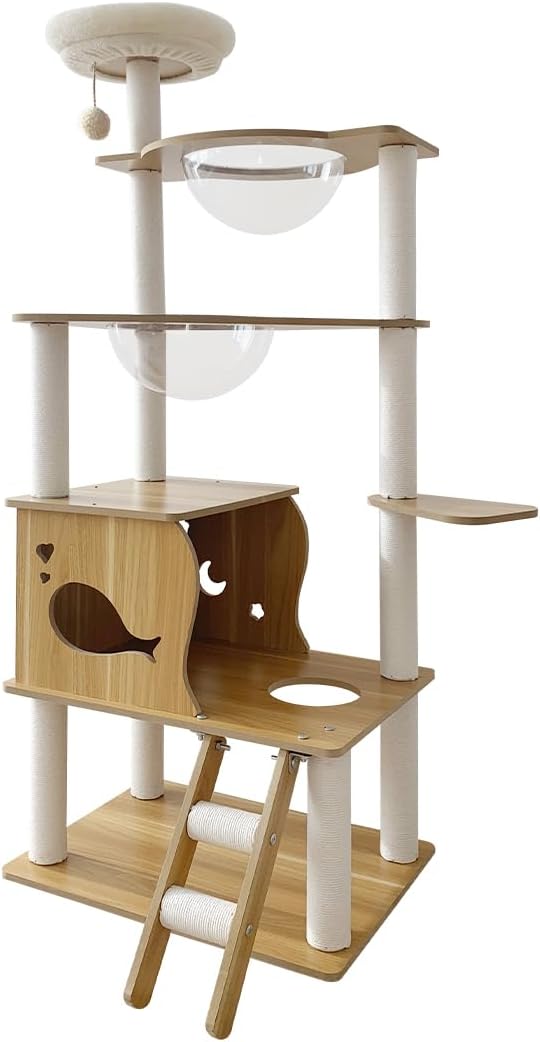 バラの油彩画 金色フレーム付きyoko 作 肉筆サインあり 2025年