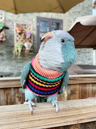 Image of Parrot Bird Supplies - Warm & Comfortable Tiger Skin Clothes for Green Cheek, Little Sun, Monk, Starling, Mynah & Senegal Parrots - Mini Macaw Sweater (L)