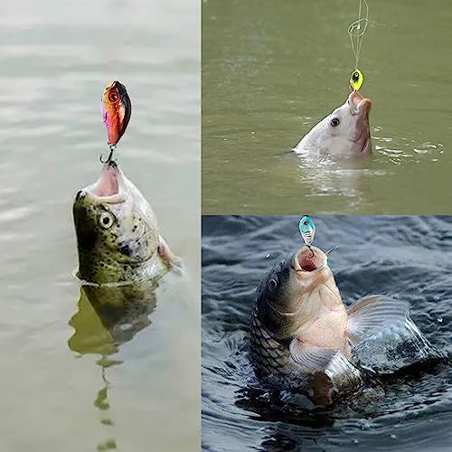 Foto von 14 pcs Angelköder Set Köder Kit Wobbler Crankbaits mit Haken Hard Popper Köder für Salzwasser Süßwasser Forellen Barsch Lachs Angeln Barschköder Simulation falscher Köder Fanggeräte