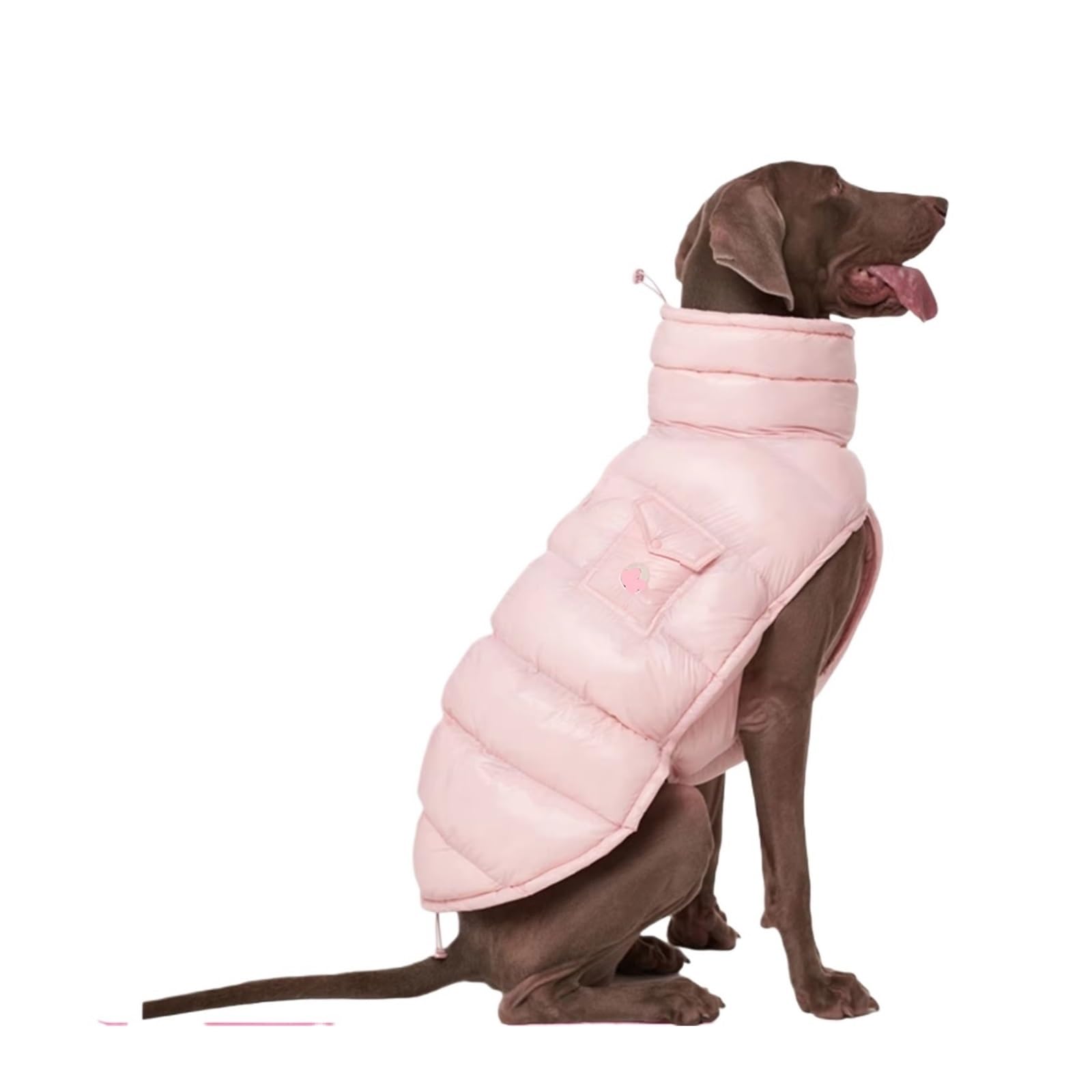 Cappottino invernale per cani, antivento, in piumino ispessito, con fodera in pile, per bulldog francese e tutte le razze (blu, 5)