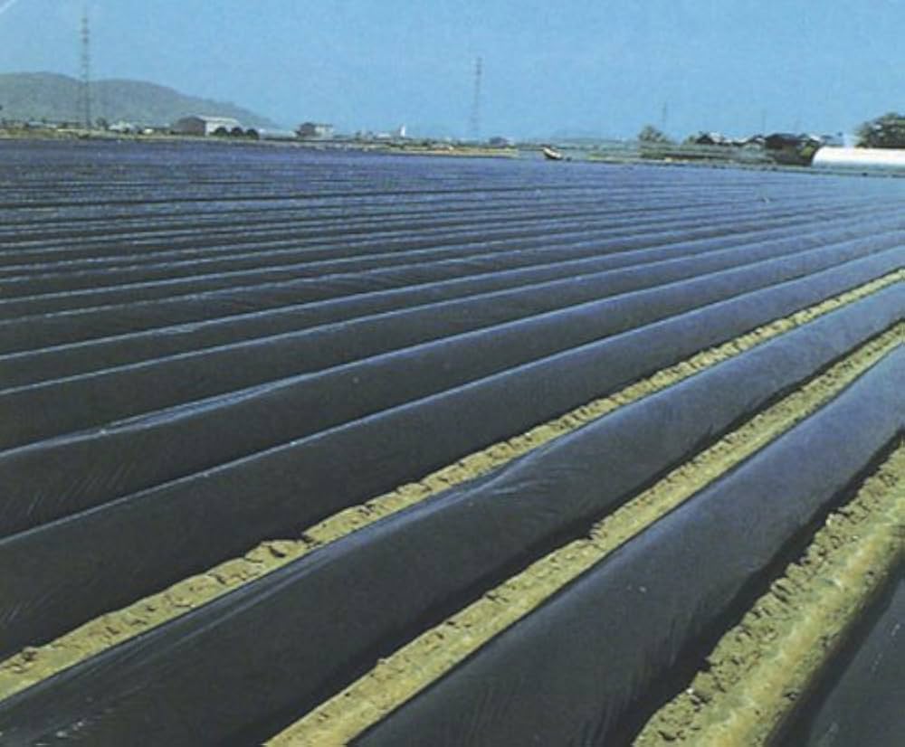 Amazon.co.jp: 黒マルチ 厚さ0.02mmX幅110cmX長さ200m : DIY