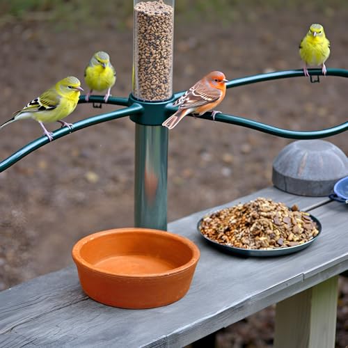 Image of ZENRISE Terracotta Bird Feeder, Water Tray, Bath tub for Birds in Balcony, Garden and cage - Brown, Clay, Small 12cm, Set of 2