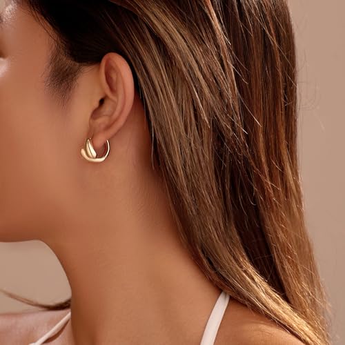 Small Chunky Hoop for Women Gold Huggie Hoops Unique Fashion Modern Jewelry3