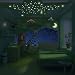 Glow in The Dark Stars,262 Art Stickers Tricolor Noctiluca Cheermo (Nl5StarC)