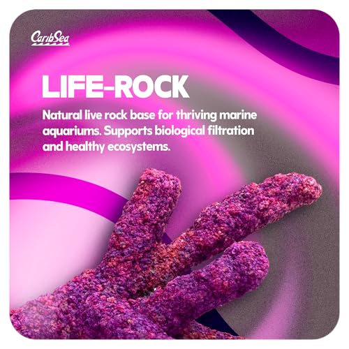Image of CaribSea LifeRock - 20 lbs - Natural Aragonite Rock for Aquascaping, Supports Marine Tank Stability & Enhances Reef Structure