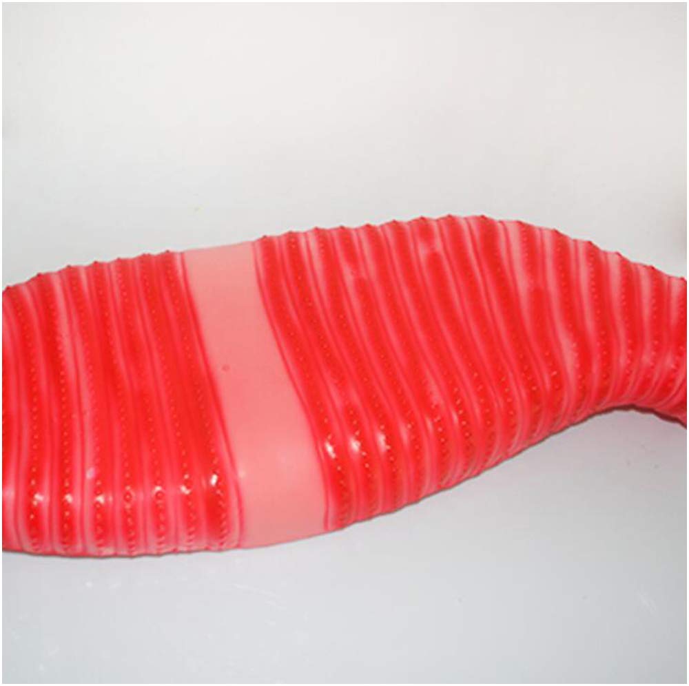Dżdżownica Model anatomiczny - Model anatomiczny Model dżdżownicy - materiał PCV Biologiczny model nauczania Model anatomiczny dżdżownicy - 61 * 22 * 10 cm - do nauki, nauczania, wyświetlan