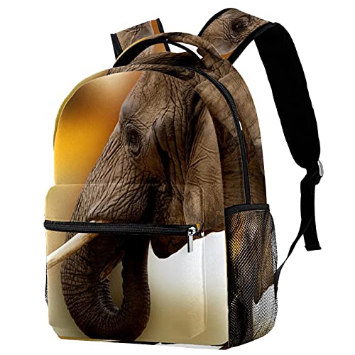 Sac à dos sauvage gris pour enfant avec porte-bouteille