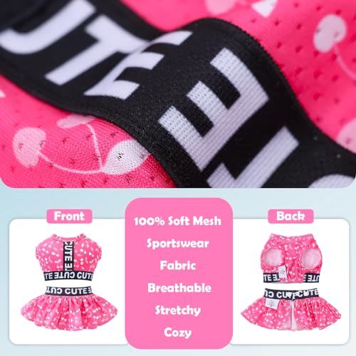 Image of CuteBone Two Piece Dog Sports Dress Athleisure Puppy Skirt Lightweight Small Dogs Girl Clothes Cat Apparel SPS12S