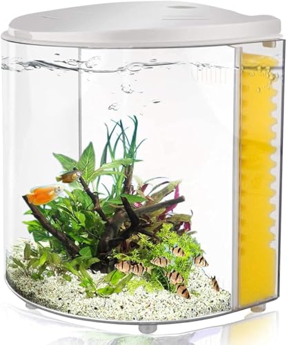 ^ 1.2K x^ tB^[ƃCgt NQAAكX^[^[Lbg AItBXAAfXNgbvp