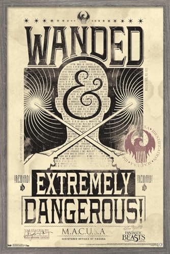 Poster Fantastic Beasts Wanded, le cadeau idéal pour fan de magie