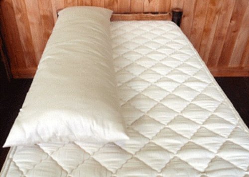 Holy Lamb Organics "Full Body" Pillow - Case #TOP20