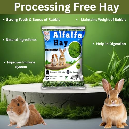 Image of Sage Square Alfalfa Hay - Protein, Calcium-Rich Hay for Rabbits, Guinea Pigs, Hamsters & Small Animals | Supports Growth, Healthy Teeth, Digestion | Sun-Dried, Hand-Selected Alfalfa Feed | 400 gm