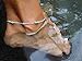 1pc Unique Nice Turquoise Beads Silver Chain Anklet Ankle Bracelet Foot Jewelry