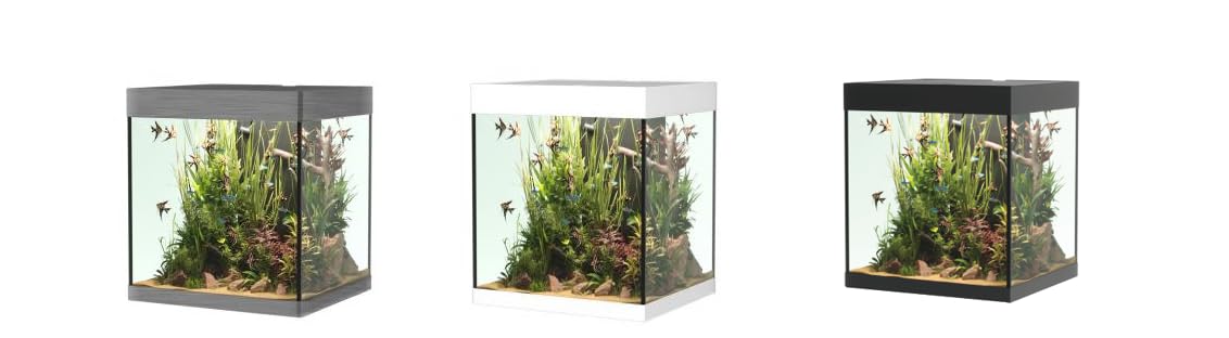 OPERA AQUARIUM 80 WHITE