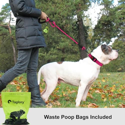 Taglory Rope Dog Leash 6 FT with Comfortable Padded Handle, Highly Reflective Threads Leash and Anti-Tangle Clip for Walking Medium Large Dogs, 1/2 inch, Hotpink - Image 3