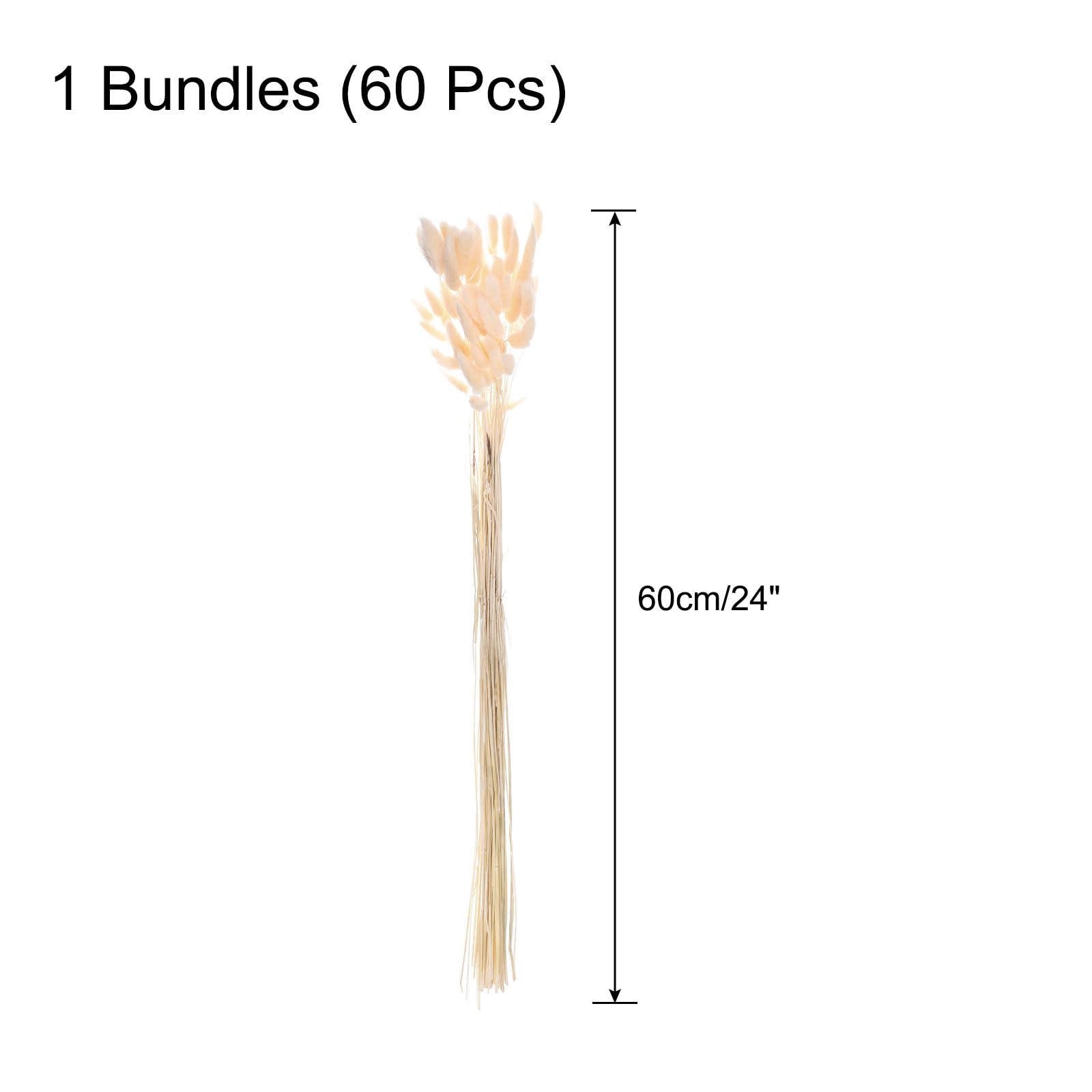 QUARKZMAN 60Pcs Queue Lapin Naturelle Fleurs Séchées 60cm Jaune Clair | Mini Herbe de Pampa Lagurus Ovatus, Bouquet pour Décoration Florale Mariage Noël