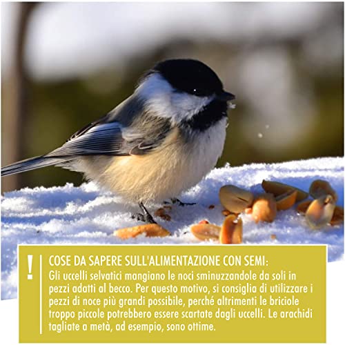 Cuore di animali selvatici | Mangiatoia per