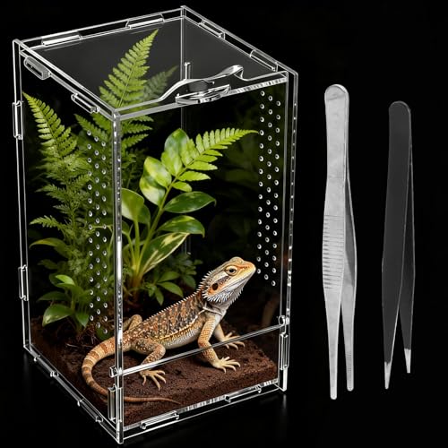 12 × 12 × 20 cm Reptilien Terrarium Acryl, 360° Transparentes Springspinne Terrarium, Mini Terrariums, Faunarium, Terrarien für Reptilien & Amphibien Bei Zucht, Aufbewahrung und Beobachtung