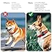 2 Pack for Airtag Dog Collar Holder,IPX8 Waterproof for air Tags-2 Pack,for Apple GPS Tracker Accessories丨Compatible with Apple AirTags丨Fits≤ 1.2