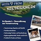 DR.CLAUDER'S - B.A.R.F. Komplett Menue Lammragout | Fleischeintopf mit 100% Lammfleisch, Innereien und Gemüse für ausgewachsene Hunde. Alleinfutter in der Dose | 6X 400g Lamm