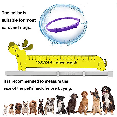 Beruhigungshalsband für Hunde und Katzen, Anti-Angst-Halsband mit Einstellbarer Größe, natürliches, sicheres, wasserdichtes Beruhigungsmittel für Katzen und Hunde, 3er-Pack (Klein)