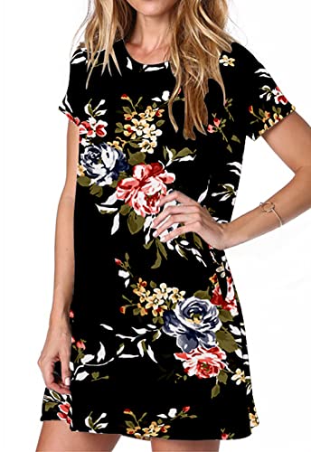 Image of Alaster Women's Casual Summer T Shirt Dress Loose Short Sleeve Tunic Dress with Pocket for Women