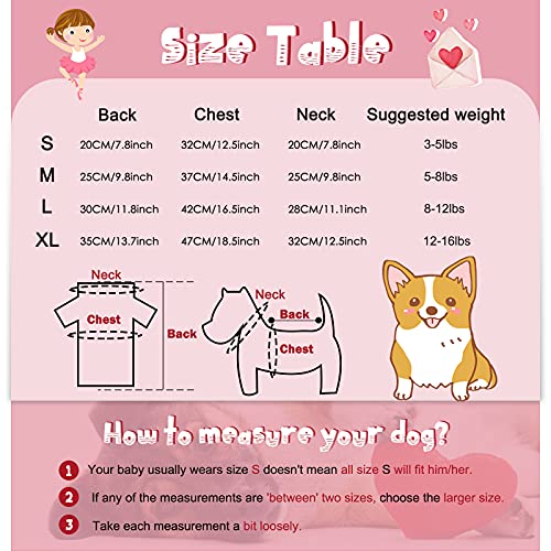 GINDOOR 2 Pieces Girl Dog Clothes - Adorable Tutu Dog Dresses Cherry & Sun Flower Printed Puppy Dog Princess Dresses Pet… - Image 2