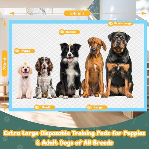 Image of 100 Count Extra Large Dog Pee Pads 28 inch x 34 inch, Super Absorbent X-Large Puppy Pads Disposable Training Pads for Dogs, Quick Drying Leak-Proof Dog Potty Pads for Doggies Puppies