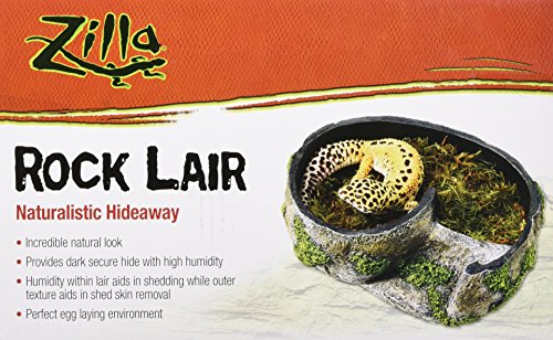 Zilla Rock Lair Md #TOP2