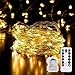 ECOWHO LED String Lights, 66ft 200 LED Waterproof Starry Fairy Lights, 8 Lighting Modes, Battery Powered Decorative Lights for Patio, Garden, Wedding (Warm White)