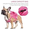 Adjustable Puppy Mesh Bag
