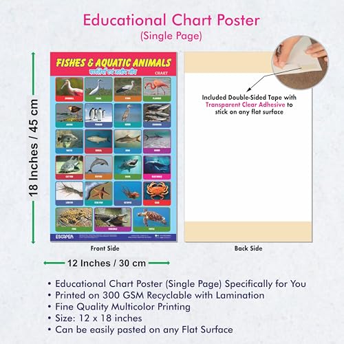 Image of ESCAPER Fishes & Aquatic Animals Educational Charts for Kids, (11.5 x 17.5 inches) Printed On 300 GSM Laminated, Self Adhesive Back, Kids Study Material, Learning Chart, Educational Posters