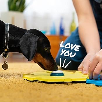 おもちゃ FluentPet They Can Talk Kit Bold – Level Up Their Learning – FluentPet