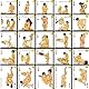 Qiyasex Erotische Spiele für Paare–Kartenspiel für Erwachsene – Sexstellungen Karten für Paare–Perfektes Geschenk für Partner und Liebhaber,Kartenspiel Sex Kartenspiel Ab 18,Kamasutra Karten für Paare