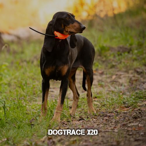 DOGTRACE X20 + Plus (Control + Necklace + case)