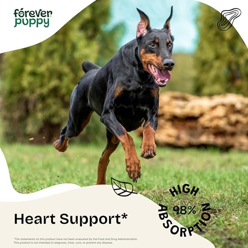 Motherwort Drops for Dogs – Heart Support for Dogs – Calming Support Supplement w/Motherwort Herb – Liquid Dog Vitamins and Supplements for Health, Composure & Relaxation – Herbal Dog Care – 2 oz Motherwort Drops for Dogs – Heart Support for Dogs – Calming Support Supplement w/Motherwort Herb – Liquid Dog Vitamins and Supplements for Health, Composure & Relaxation – Herbal Dog Care – 2 oz