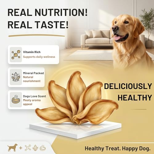 Image of Dog Treats, Rawhide Free, Dried Water Buffalo Ears, High Crude Protein Dog Food for Adult, Medium & Small Dog Sizes, Natural & Long-Lasting Dog Treat (5 Pieces)