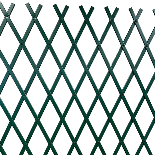 TENAX Treplas 100x200 cm Vert, Treillis Extensible Décoratif en PVC pour Soutenir Les Fleurs et Les Plantes Grimpantes, pour Décorer Les Murs et pour Créer...