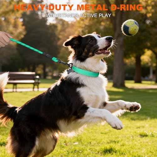 Image of Taglory Reflective Dog Collar for Medium Dogs, Soft and Safe for Daily Walk