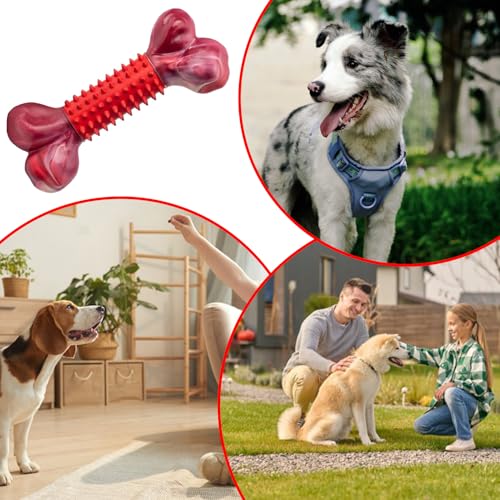 Knochen-Kauspielzeug, aggressives, Zahnknochen, Harte Welpen, Zahnreinigungsstab für Schlafzimmer, Zuhause, Wohnzimmer, Hof, Parks, Innenwohnung, Wohnheim