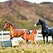 Breyer Horses Freedom Series Spanish Mustang Family | 3 Horse Set | Horse Toy | 9.75