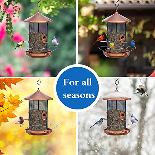 Mangeoire à oiseaux sauvages extérieure de 32cm avec maille métallique durable