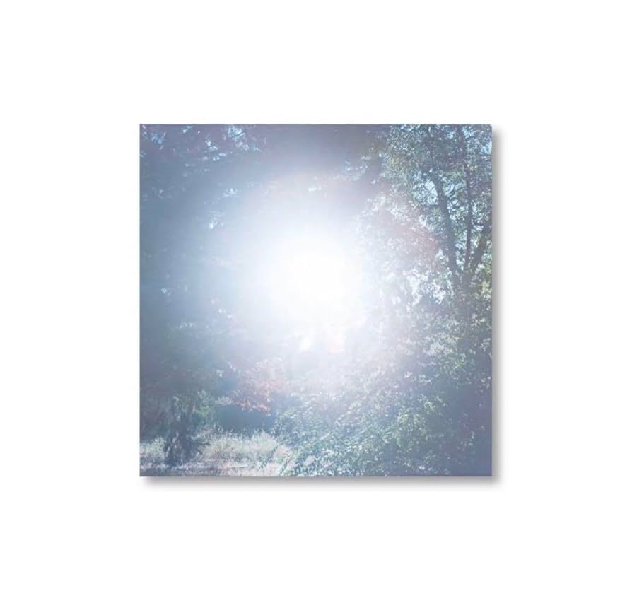 アートポスター 川内倫子 エキシビジョンポスター お知らせが遅くなりましたが、横尾忠則さんに描いていただいた