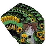 3dRose USA, Pennsylvania. Birdhouse and Garden Sunflowers. Set of 8 Coasters - Cork